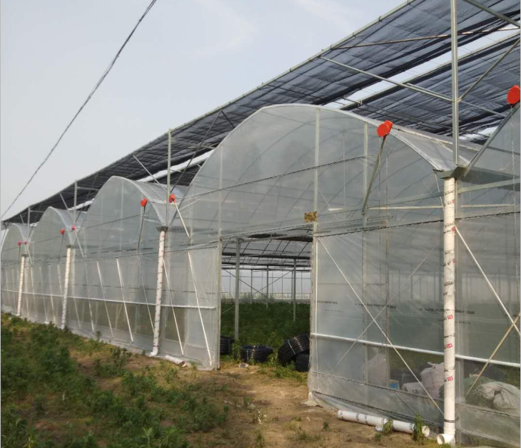 河下礼珠村委基地