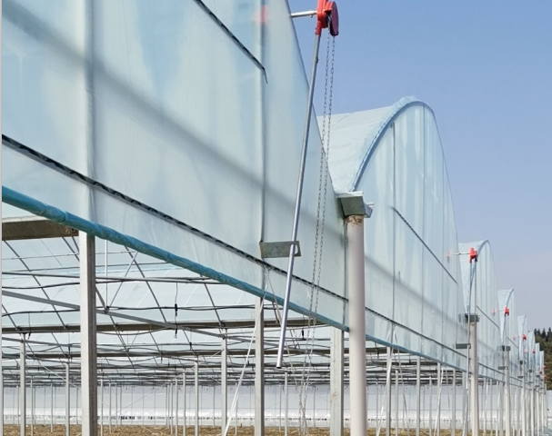 良山鹊桥村委基地大棚图