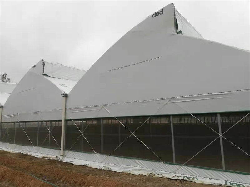 丰城万总基地大棚图