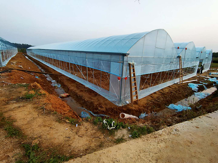 新溪基地补贴大棚安装现场图